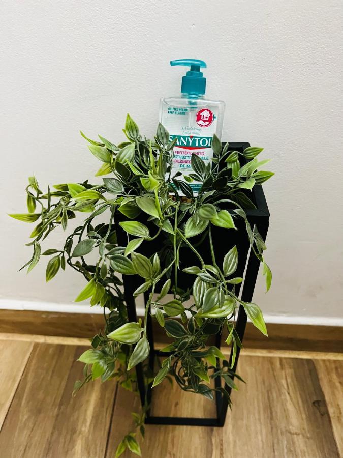 Апартаменты Altheda Living Tineretului E8 Сучава Экстерьер фото